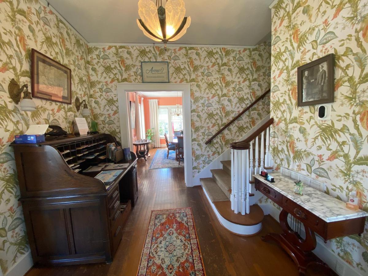 Avenue O Bed And Breakfast Galveston Eksteriør bilde