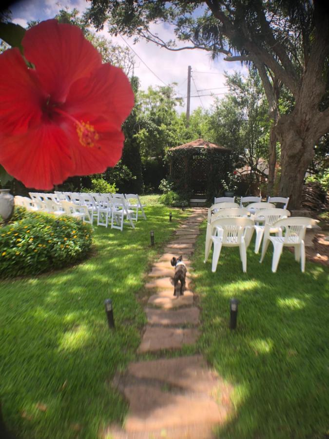 Avenue O Bed And Breakfast Galveston Eksteriør bilde